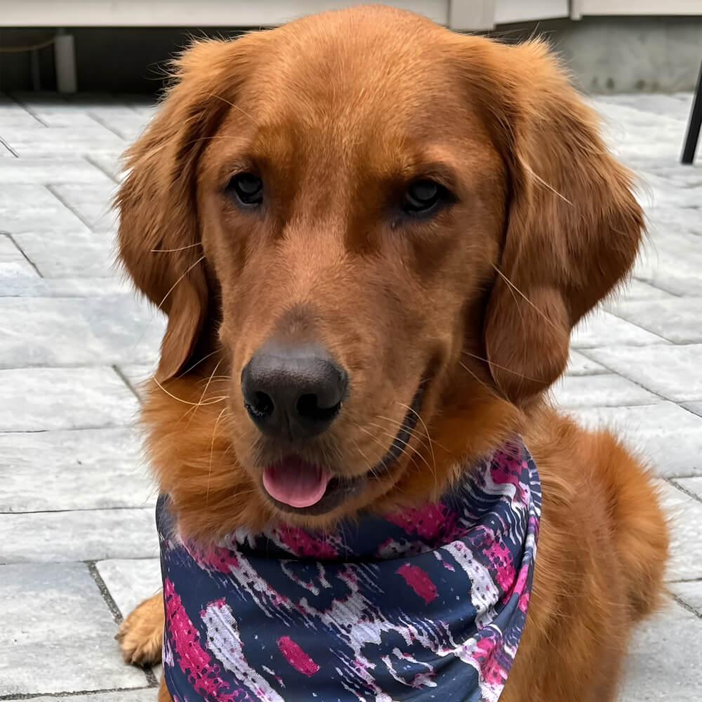 Brody wearing a bandana that matches Kelsey's dress